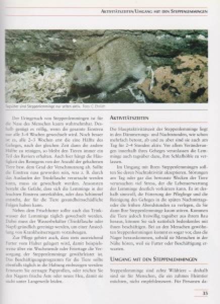 Steppenlemminge und andere Wühlmäuse
